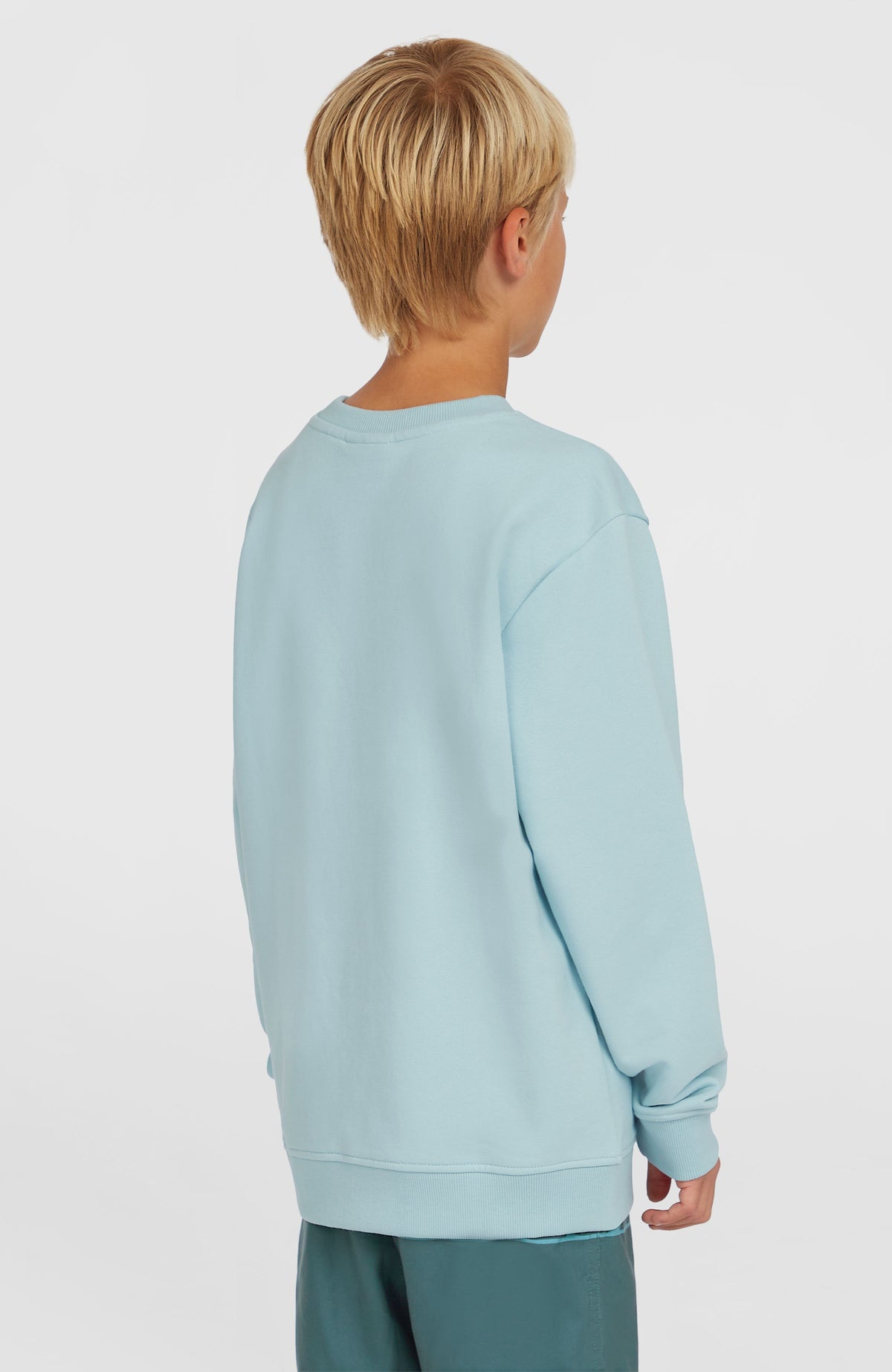 Sweatshirt Logo Crew | Morning Glory