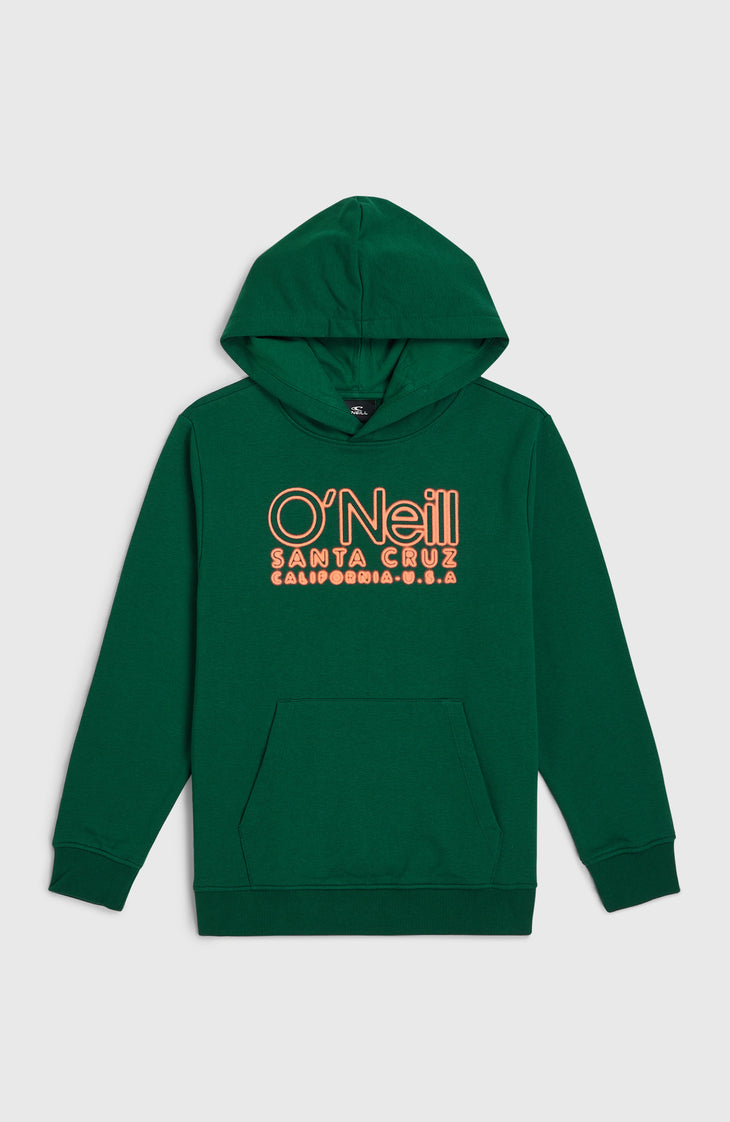 Sweat à capuche Essentials | Emerald Envy