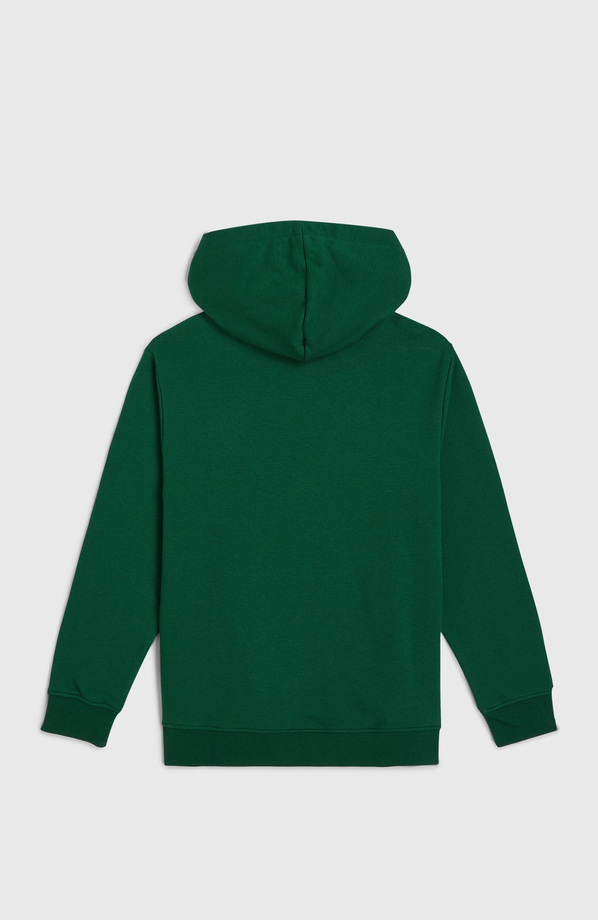 Sweat à capuche Essentials | Emerald Envy