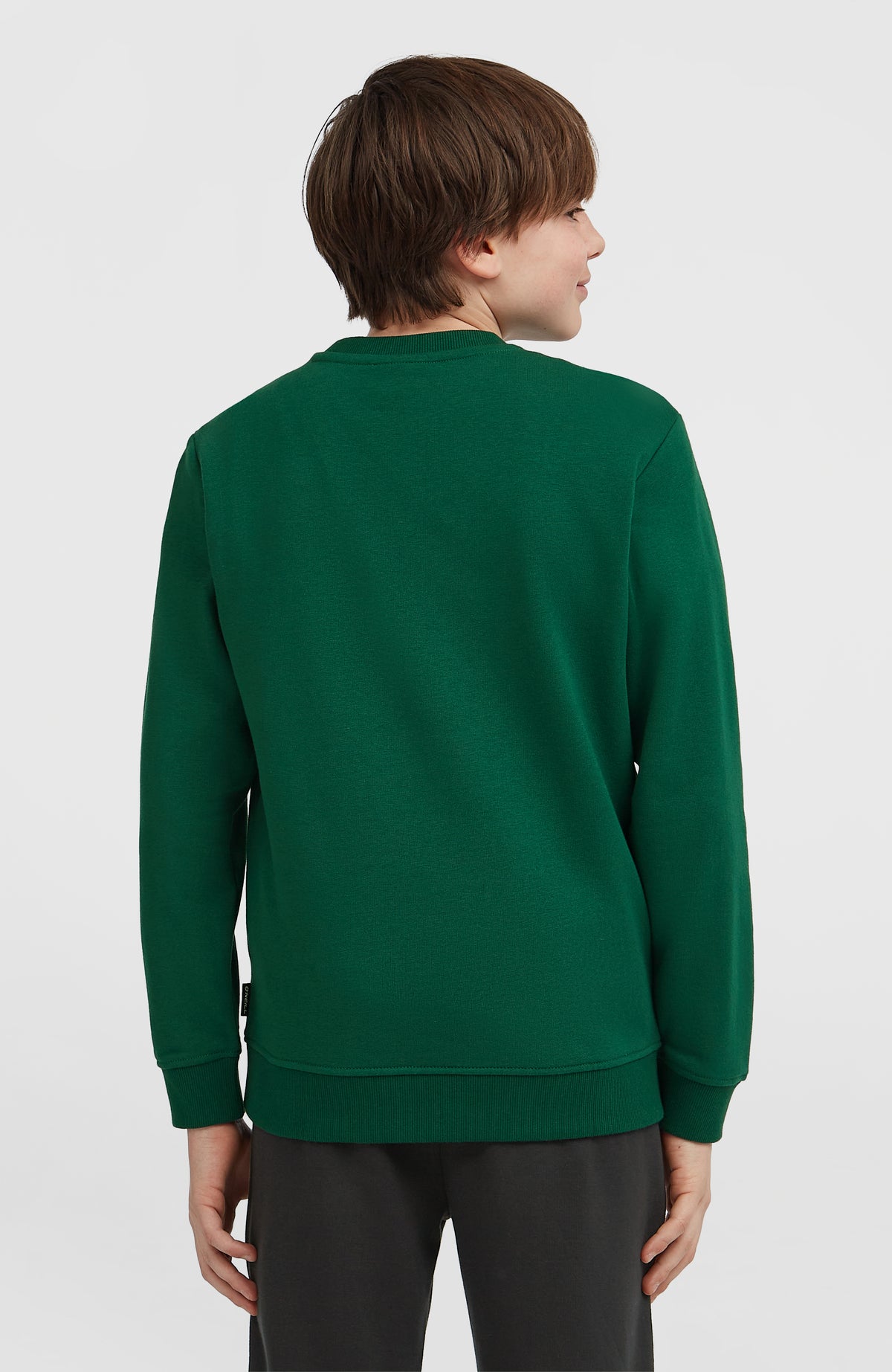 Sweatshirt à col rond Essentials | Emerald Envy