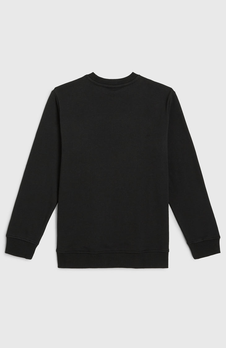 Sweatshirt à col rond Essentials | Black Out