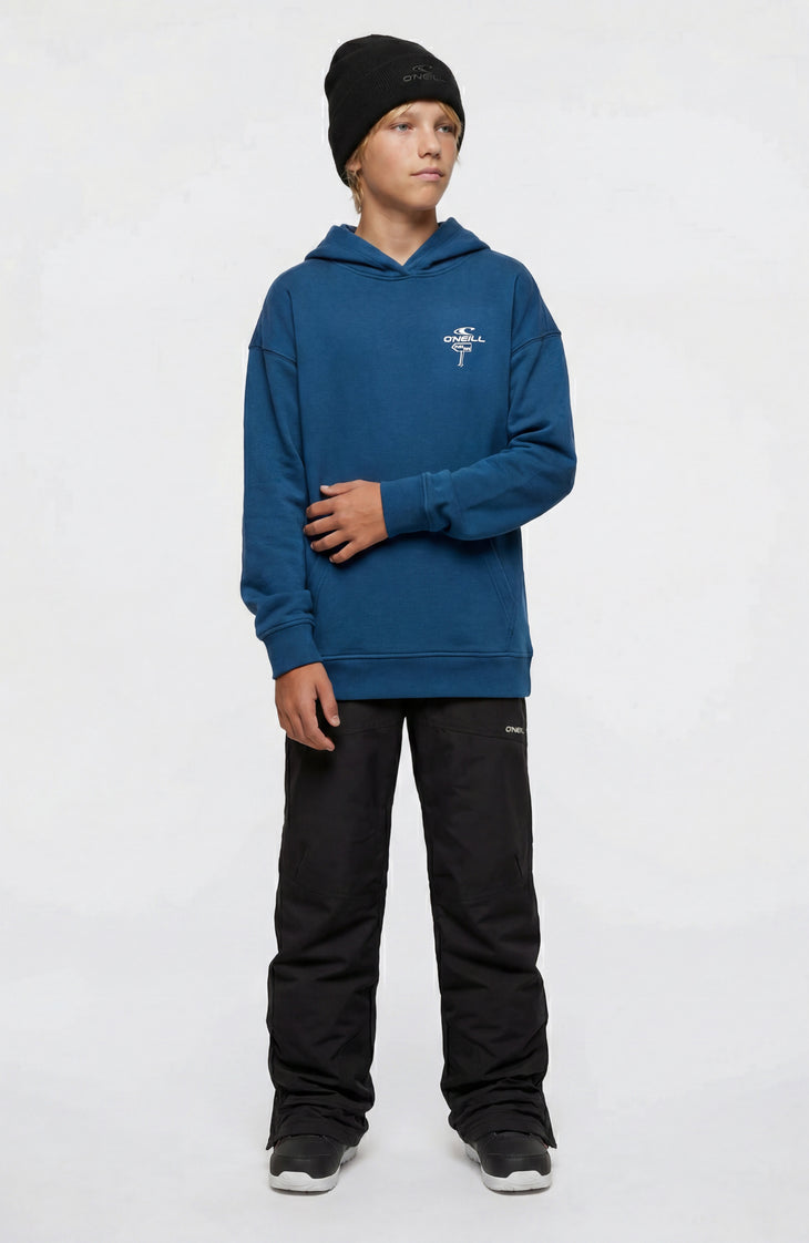 Sweat à capuche O'Neill Back-Print | Regal Blue