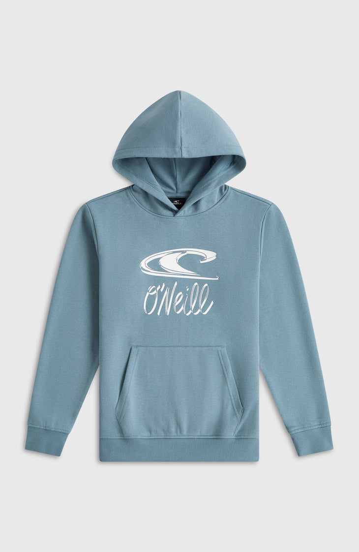 Sweat à capuche Essentials | Murky Water