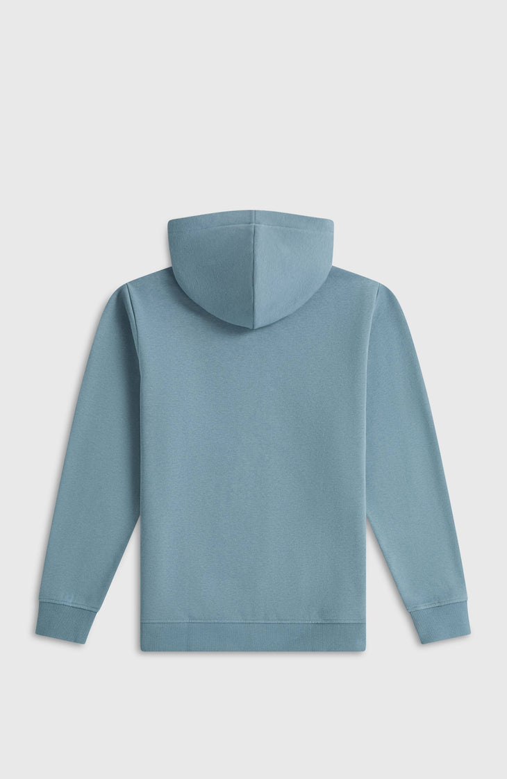 Sweat à capuche Essentials | Murky Water