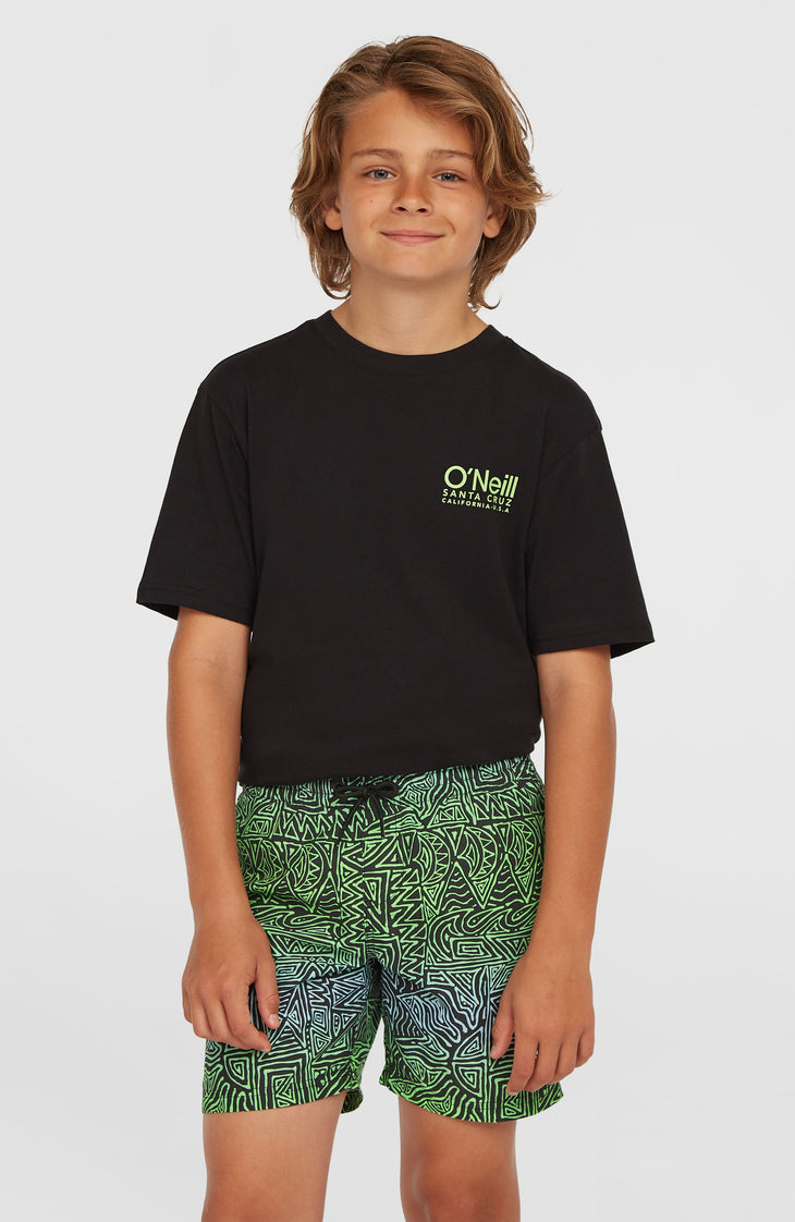 Short de bain Cali 14'' | Blue Gradikat