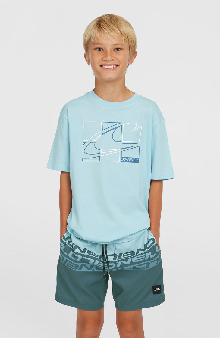 Short de bain Cali Stripe 14 | Blue Upside Down