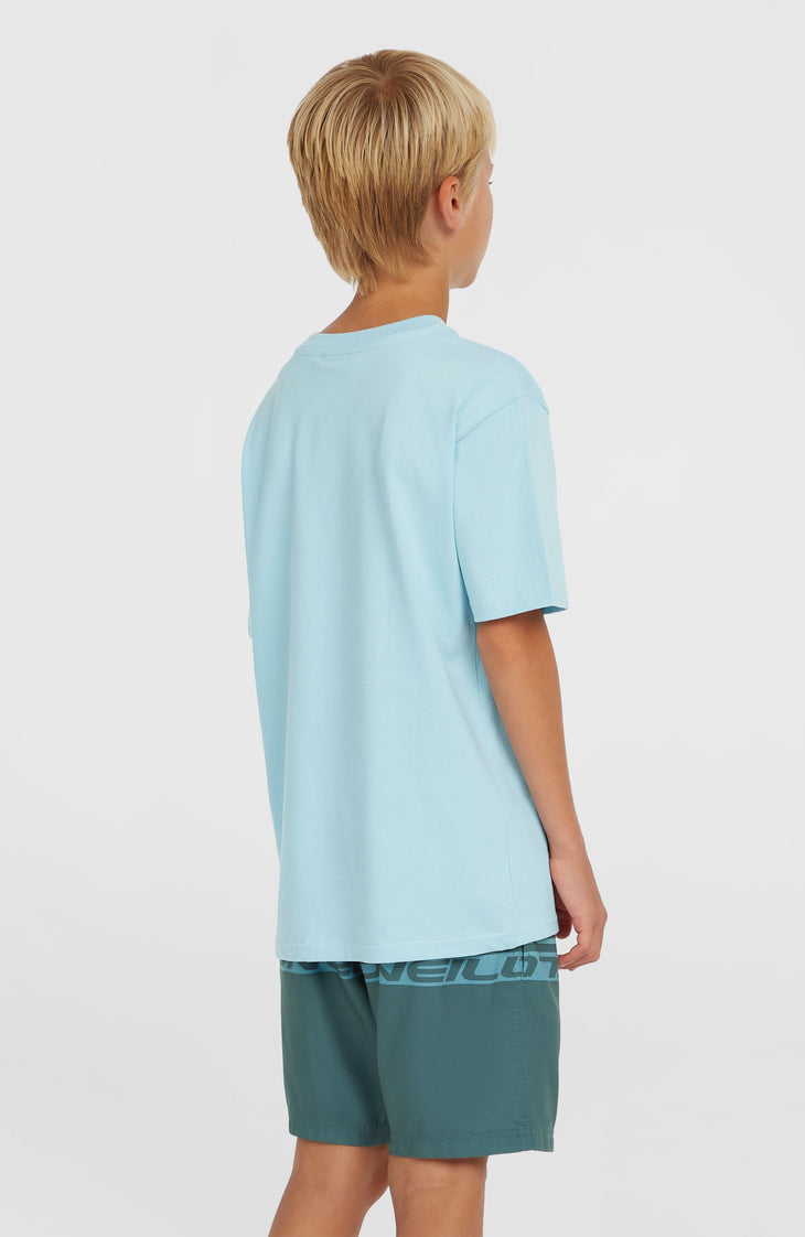 Short de bain Cali Stripe 14 | Blue Upside Down