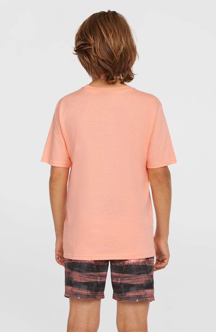 Short de bain Cali Gradient 14'' | Coral Melted Texture