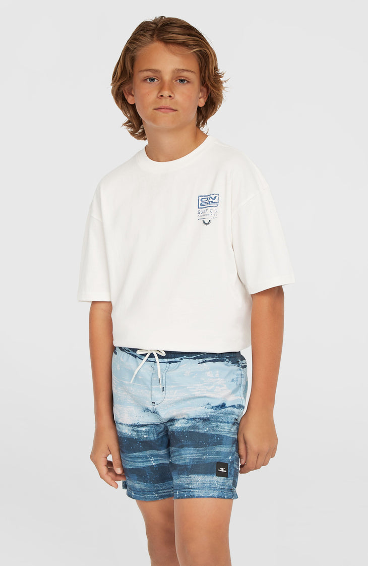 Short de bain Cali Gradient 14'' | Blue Melted Stripe Boys
