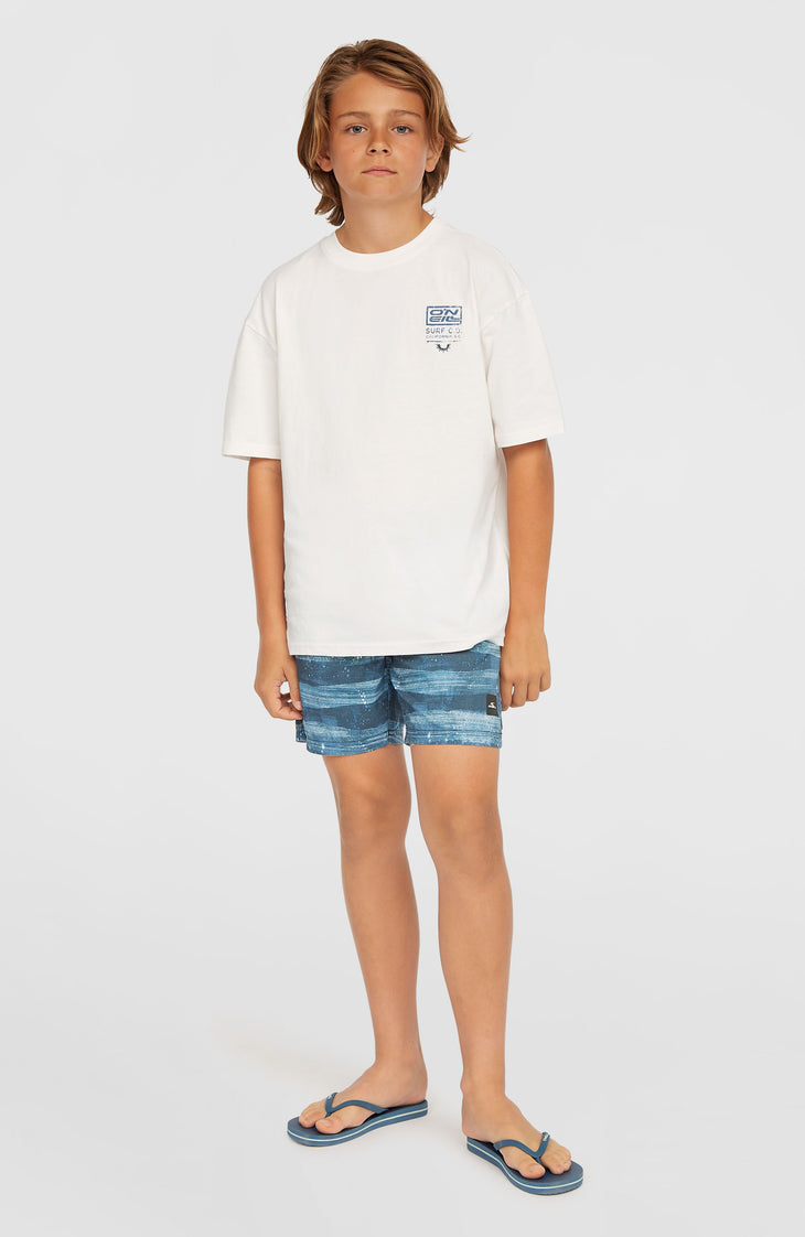 Short de bain Cali Gradient 14'' | Blue Melted Stripe Boys