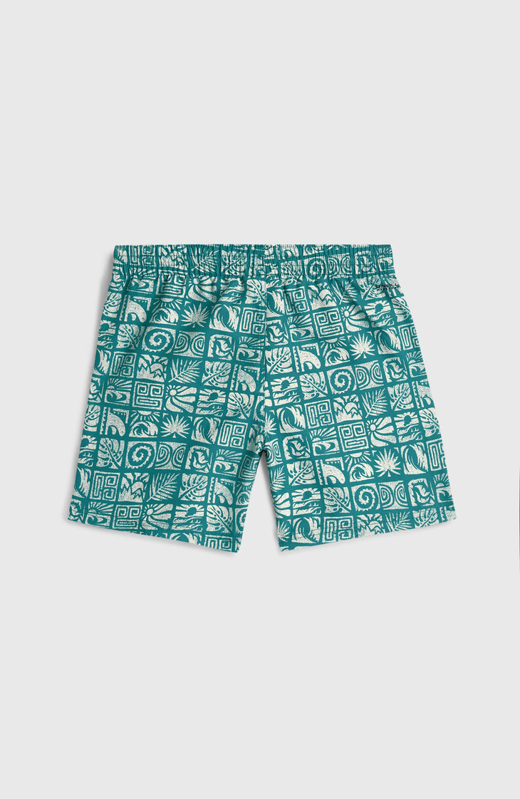 Short de bain O'Neill Print | Blue Bricks