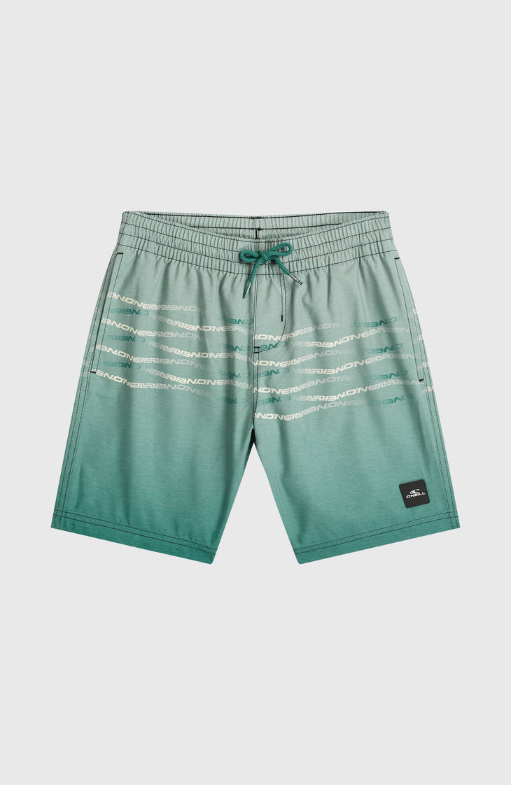 Short de bain O'Neill First | Boys Green Heritage Flip