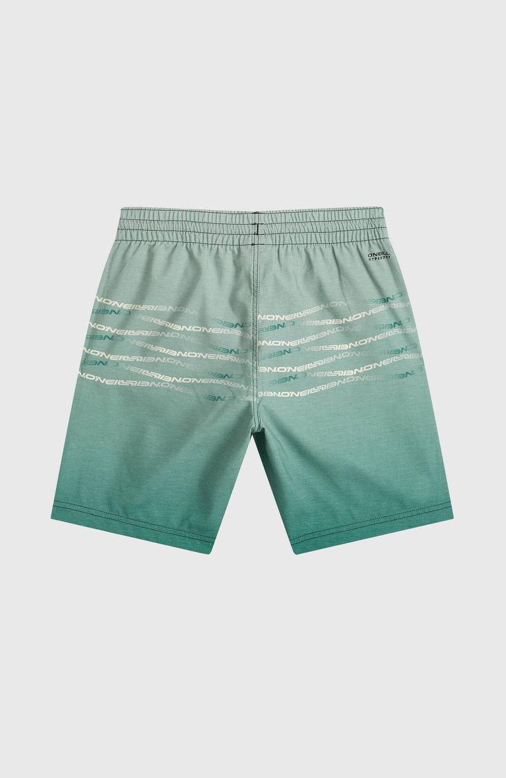 Short de bain O'Neill First | Boys Green Heritage Flip