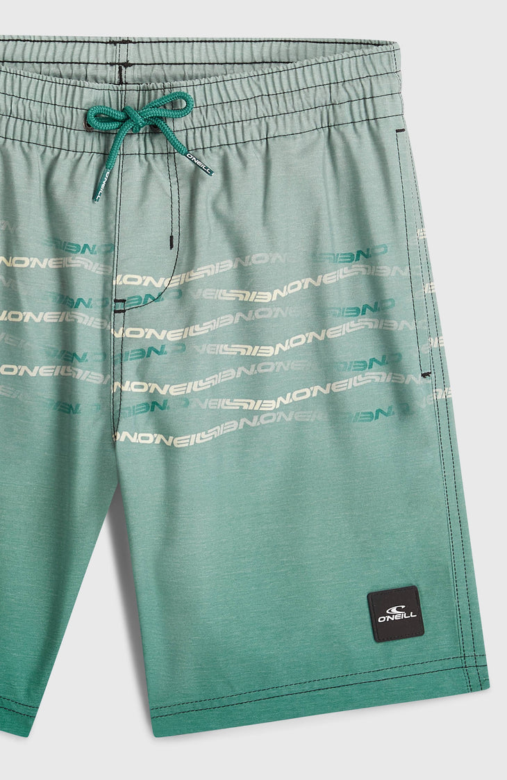 Short de bain O'Neill First | Boys Green Heritage Flip