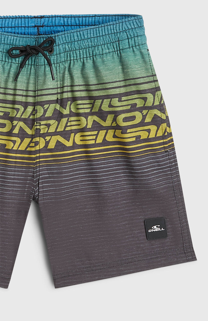 Short de bain O'Neill Logo Stripe | Boys Blue Heritage O'Neill