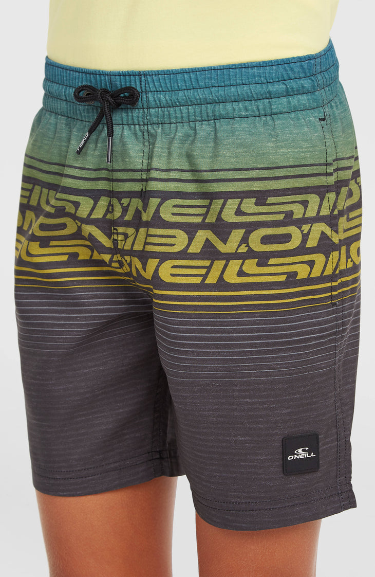 Short de bain O'Neill Logo Stripe | Boys Blue Heritage O'Neill