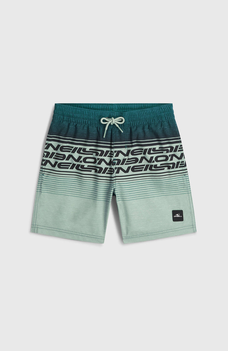 Short de bain O'Neill Logo Stripe | Boys Green Heritage O'Neill