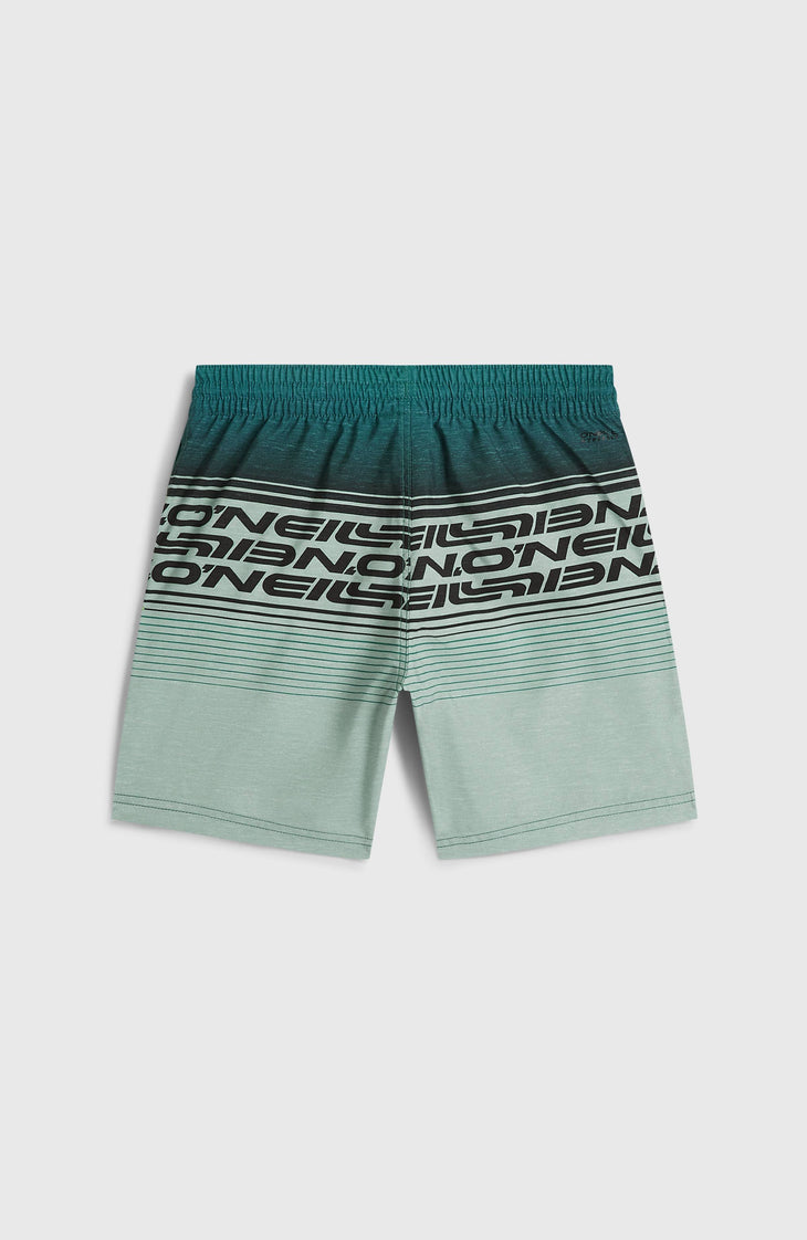 Short de bain O'Neill Logo Stripe | Boys Green Heritage O'Neill