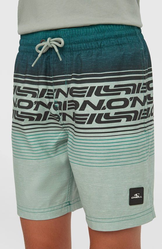 Short de bain O'Neill Logo Stripe | Boys Green Heritage O'Neill