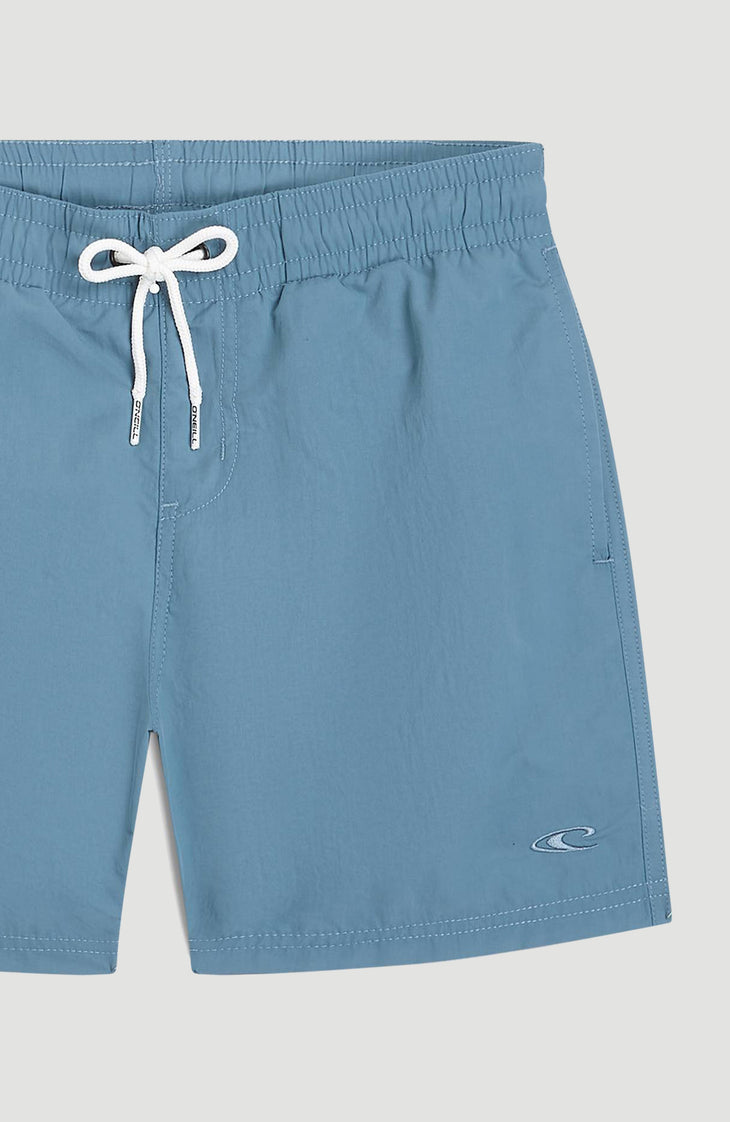 Short de bain O'Neill Vert | Copen Blue
