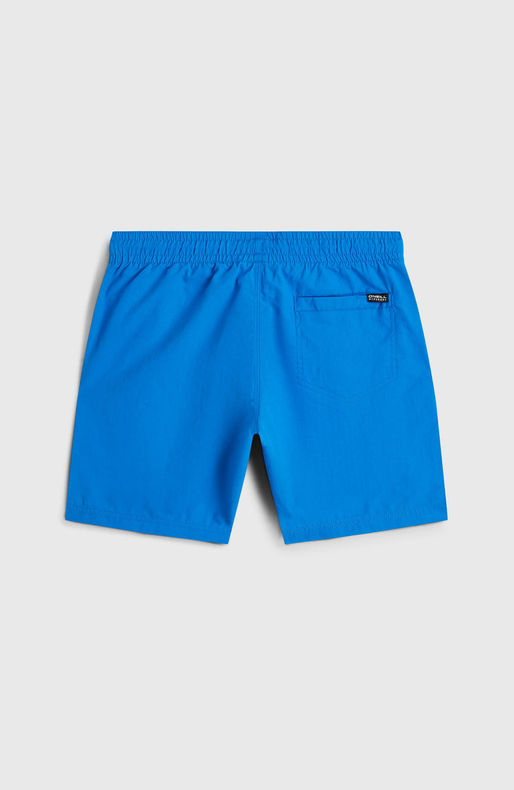 Short de bain O'Neill Vert | Mediterranean Blue