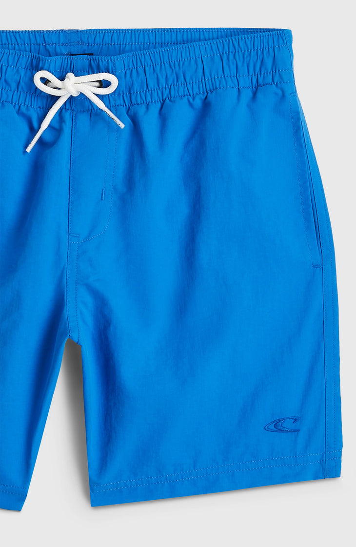 Short de bain O'Neill Vert | Mediterranean Blue