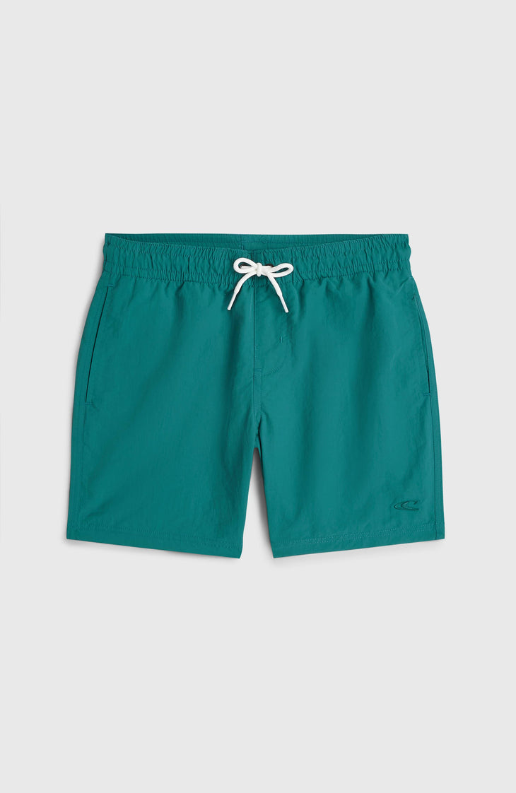 Short de bain O'Neill Vert | Botanical Heat