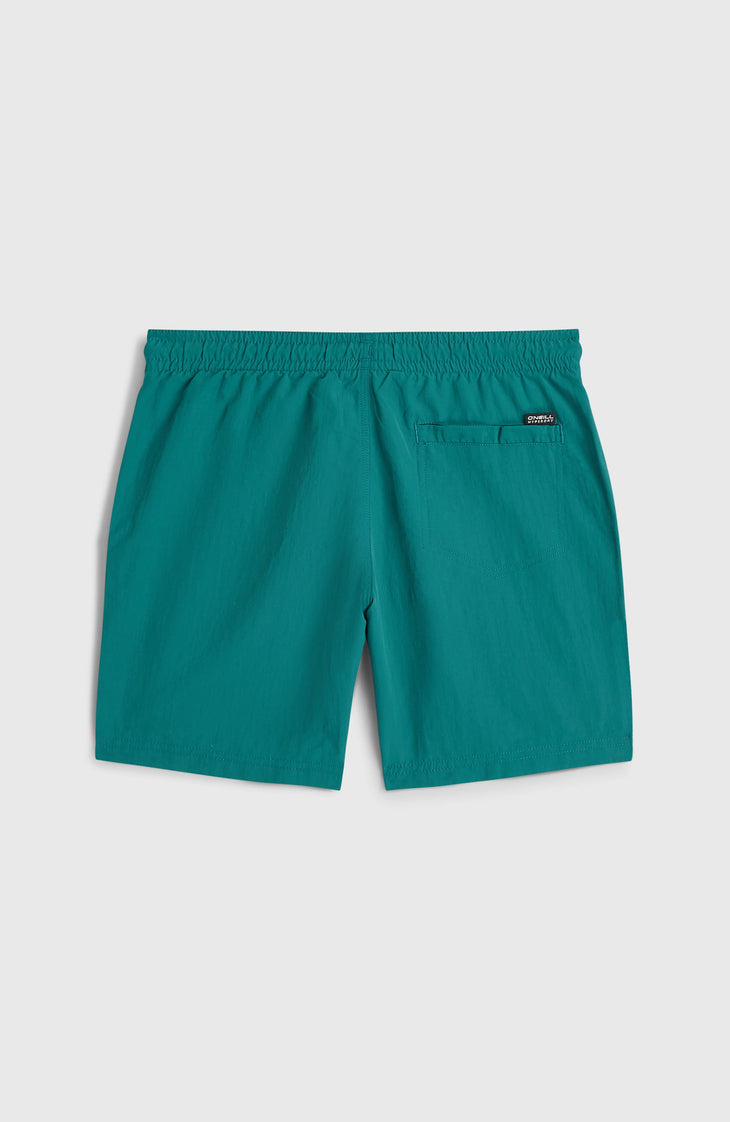 Short de bain O'Neill Vert | Botanical Heat