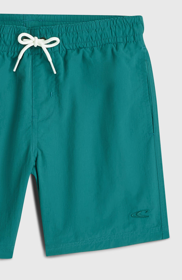 Short de bain O'Neill Vert | Botanical Heat