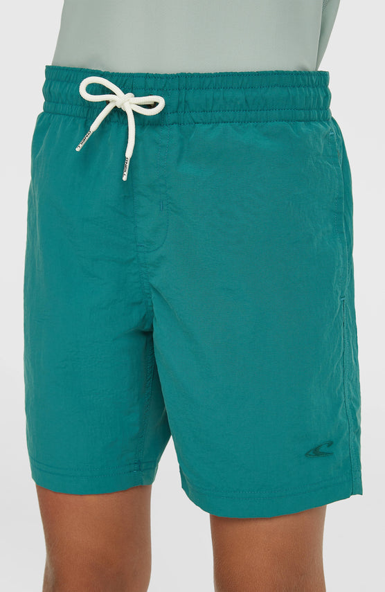 Short de bain O'Neill Vert | Botanical Heat