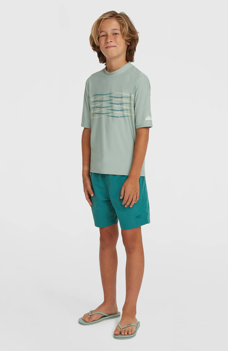 Short de bain O'Neill Vert | Botanical Heat