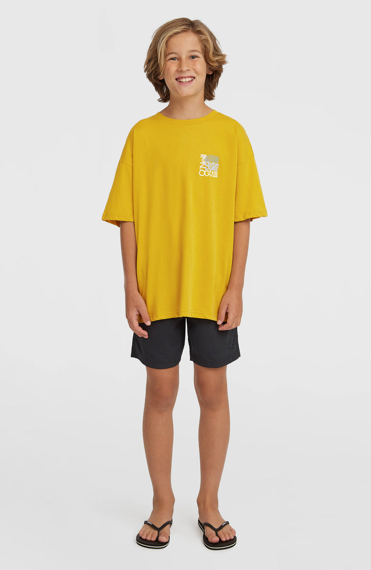 Short de bain O'Neill Vert | Black Out