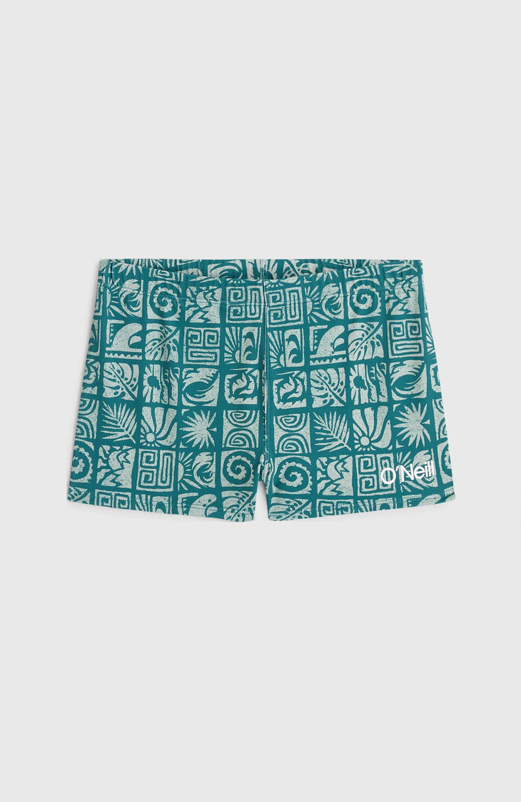 O'Neill Print Boxer | Blue Bricks