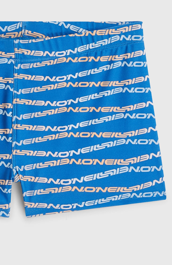 O'Neill Print Boxer | Blue Boys Gradient Stripe