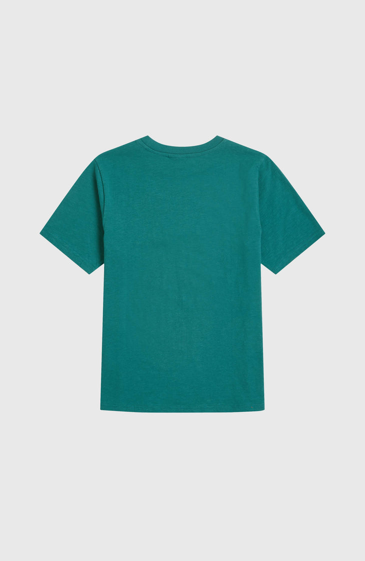 T-shirt Slub Graphic | Botanical Heat