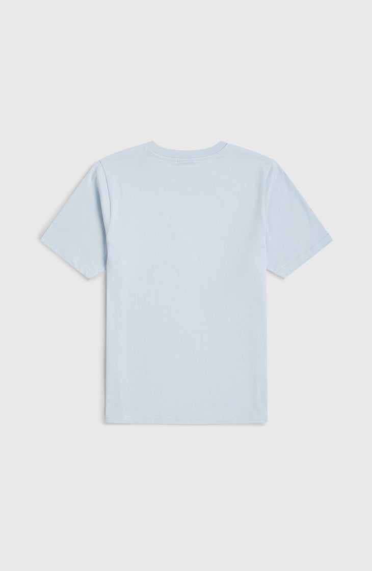 T-shirt O'Neill Logo Stripe | Spindle