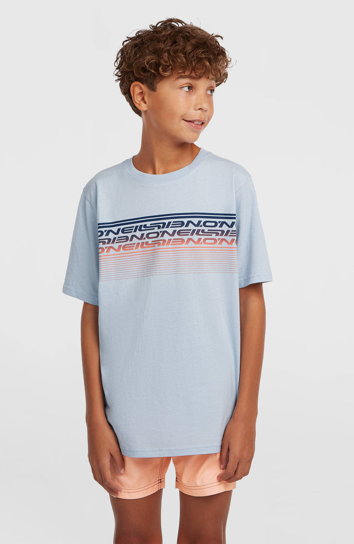 T-shirt O'Neill Logo Stripe | Spindle