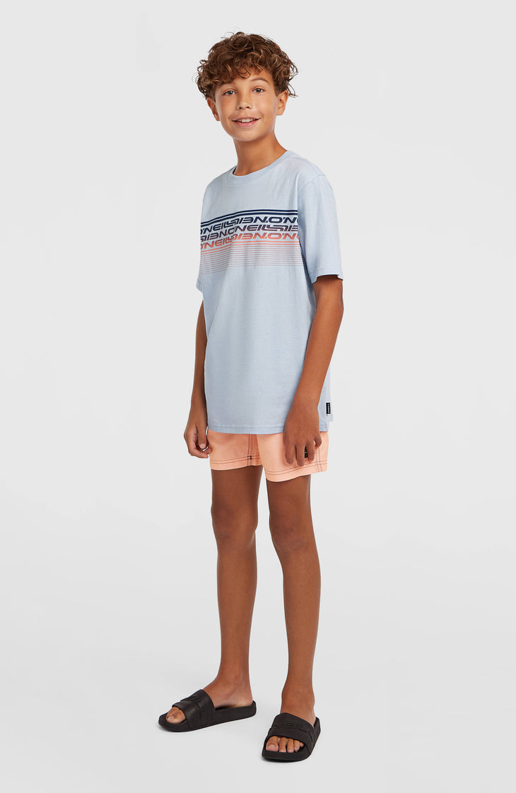 T-shirt O'Neill Logo Stripe | Spindle