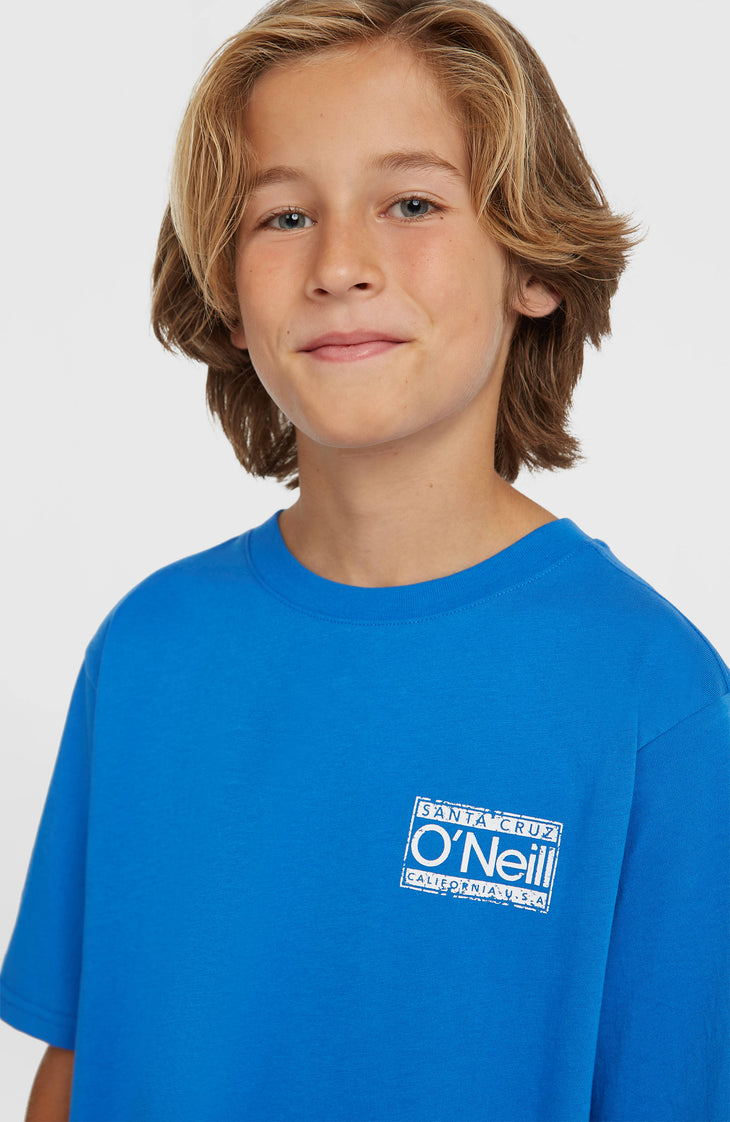 T-shirt O'Neill Cali | Mediterranean Blue