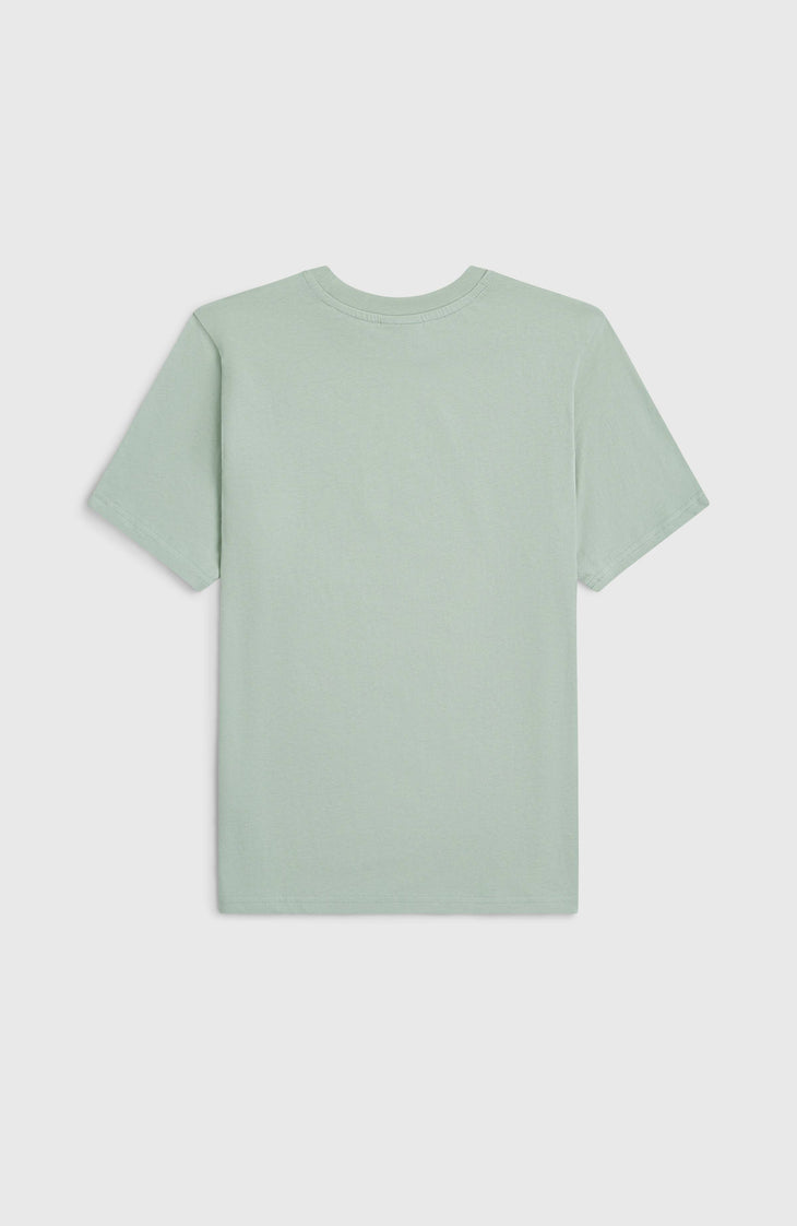 T-shirt O'Neill Muir | Marble Arch