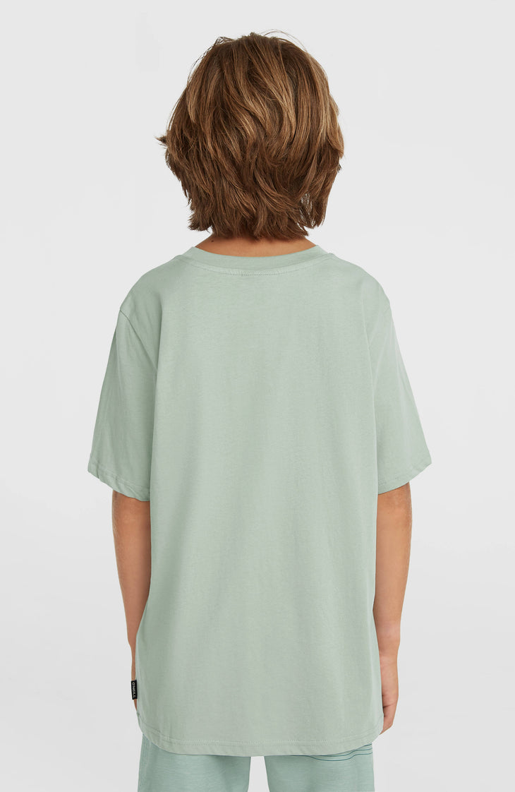 T-shirt O'Neill Muir | Marble Arch