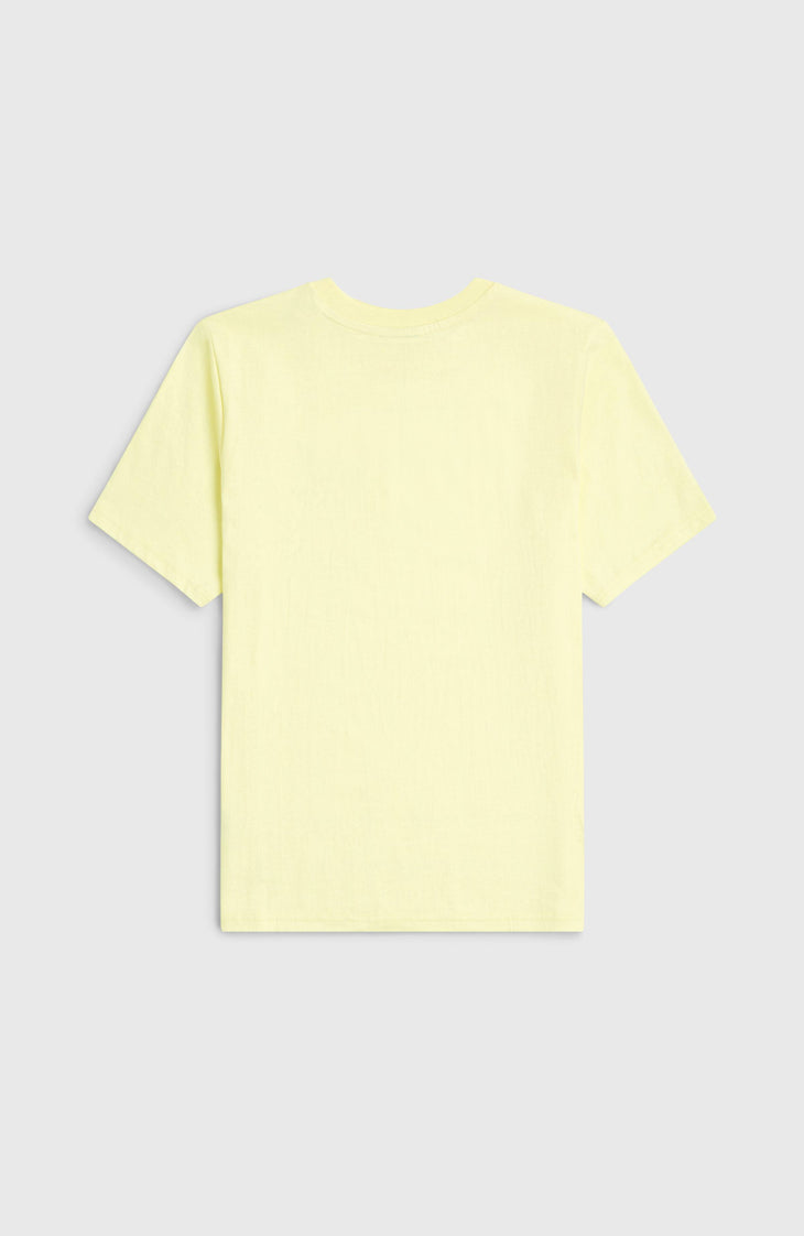 T-shirt O'Neill Chest-Print | Rainforest Dew