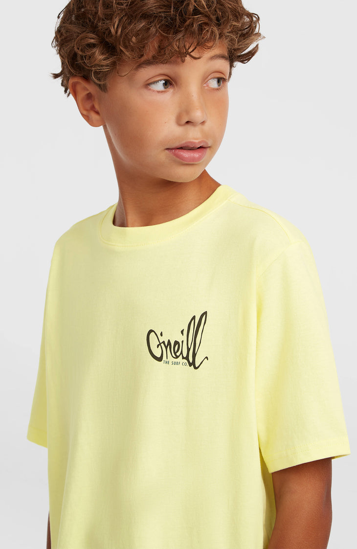 T-shirt O'Neill Chest-Print | Rainforest Dew