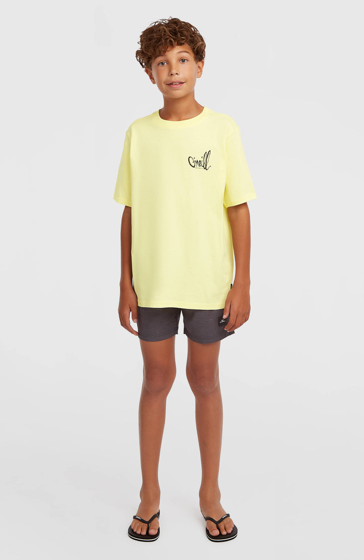 T-shirt O'Neill Chest-Print | Rainforest Dew