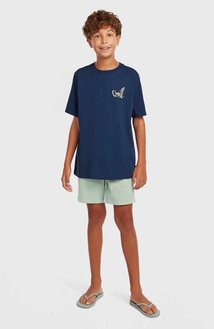 T-shirt O'Neill Chest-Print | English Evening