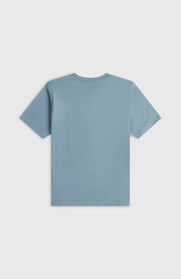 T-shirt O'Neill Graphic | Murky Water