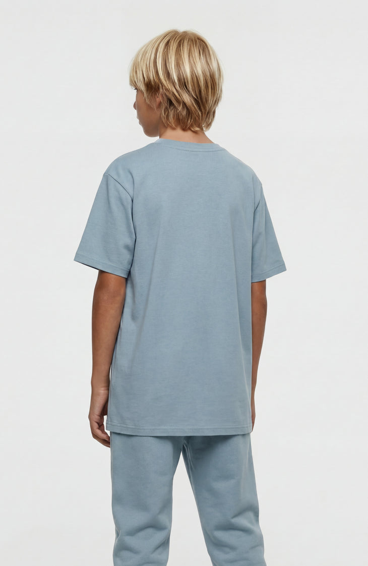 T-shirt O'Neill Graphic | Murky Water