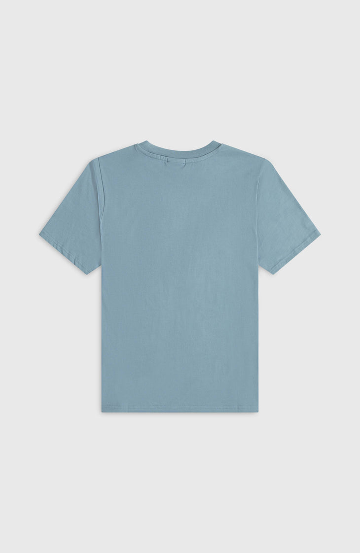 T-shirt Essentials | Murky Water
