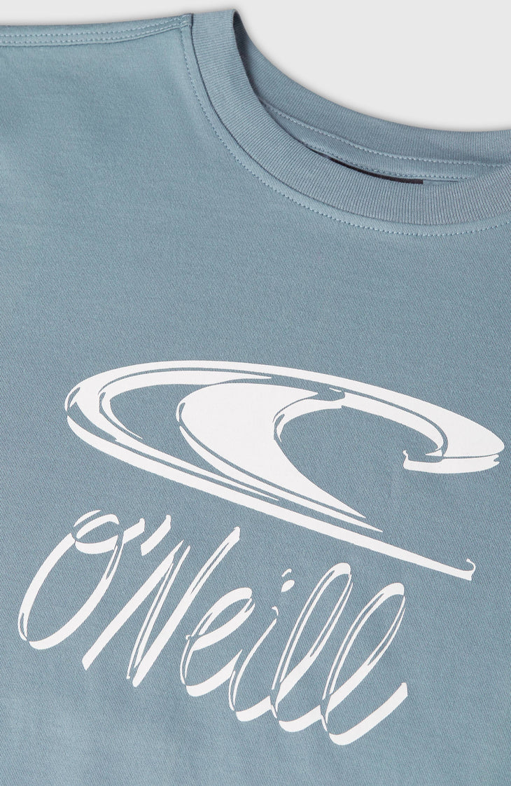 T-shirt Essentials | Murky Water