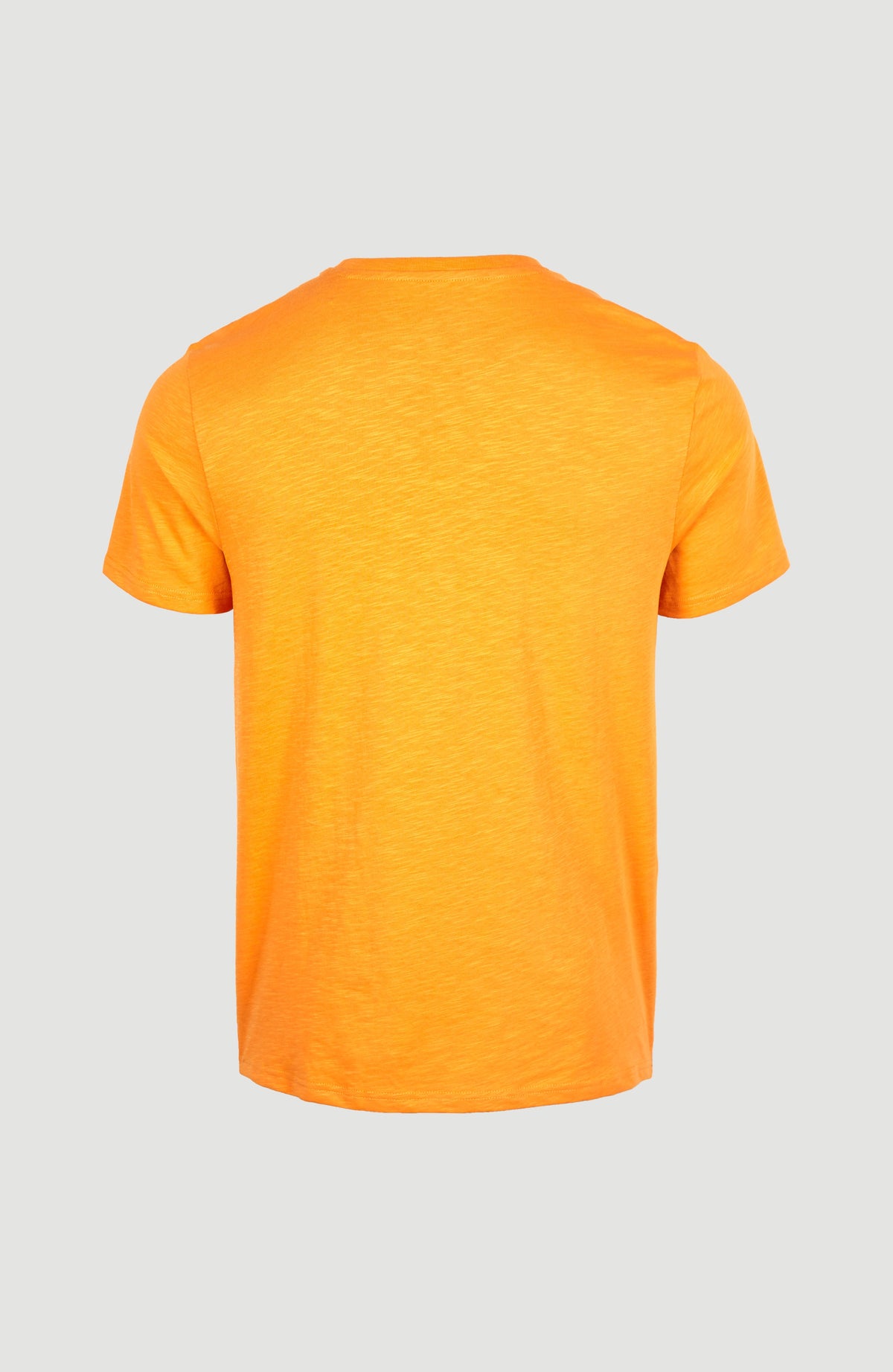 Tee-Shirt Jack's Base | Nugget